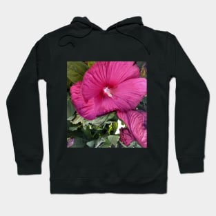 flower red pink green photo Hoodie